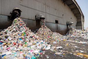 How to Start a Recycling Business in Dubai