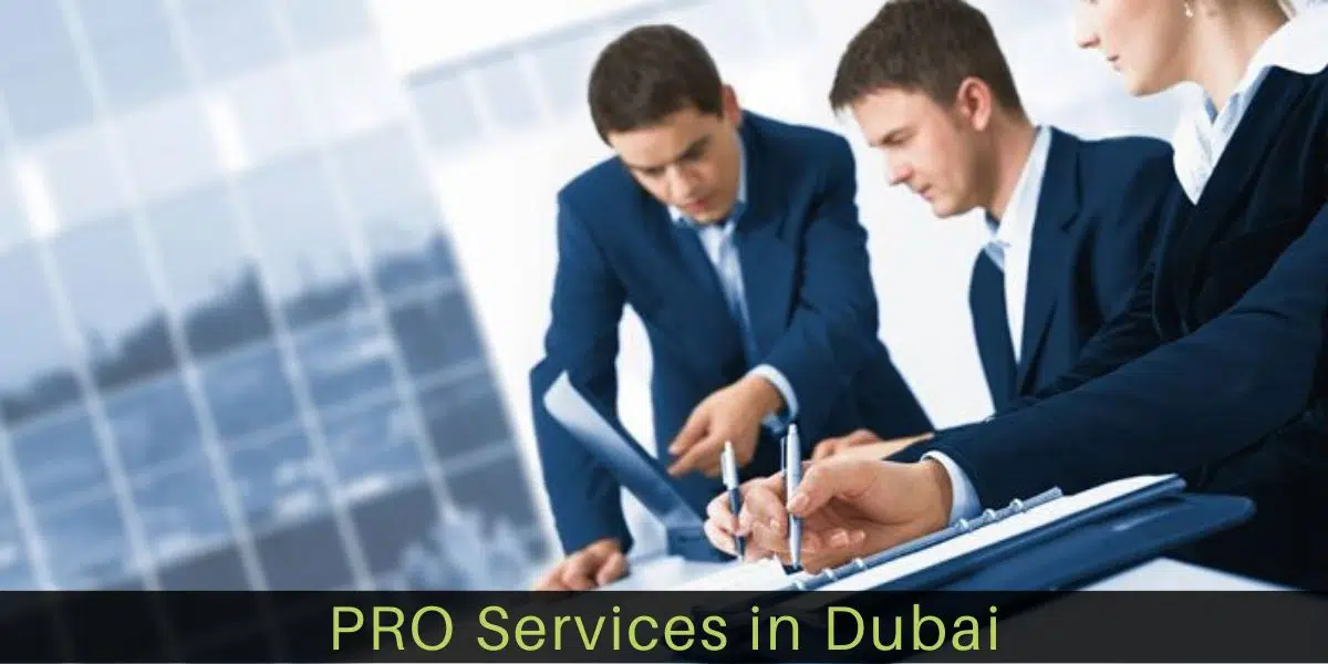 PRO Services Business in Dubai