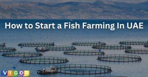 How to Start a Fish Farming In UAE